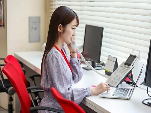 A working day for Tsukino Saito